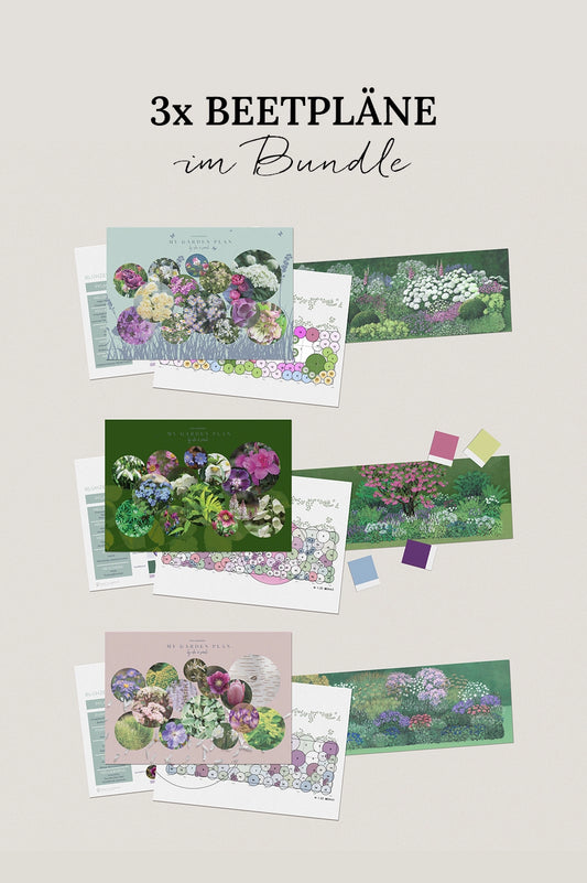 3 Beetpläne – im Bundle