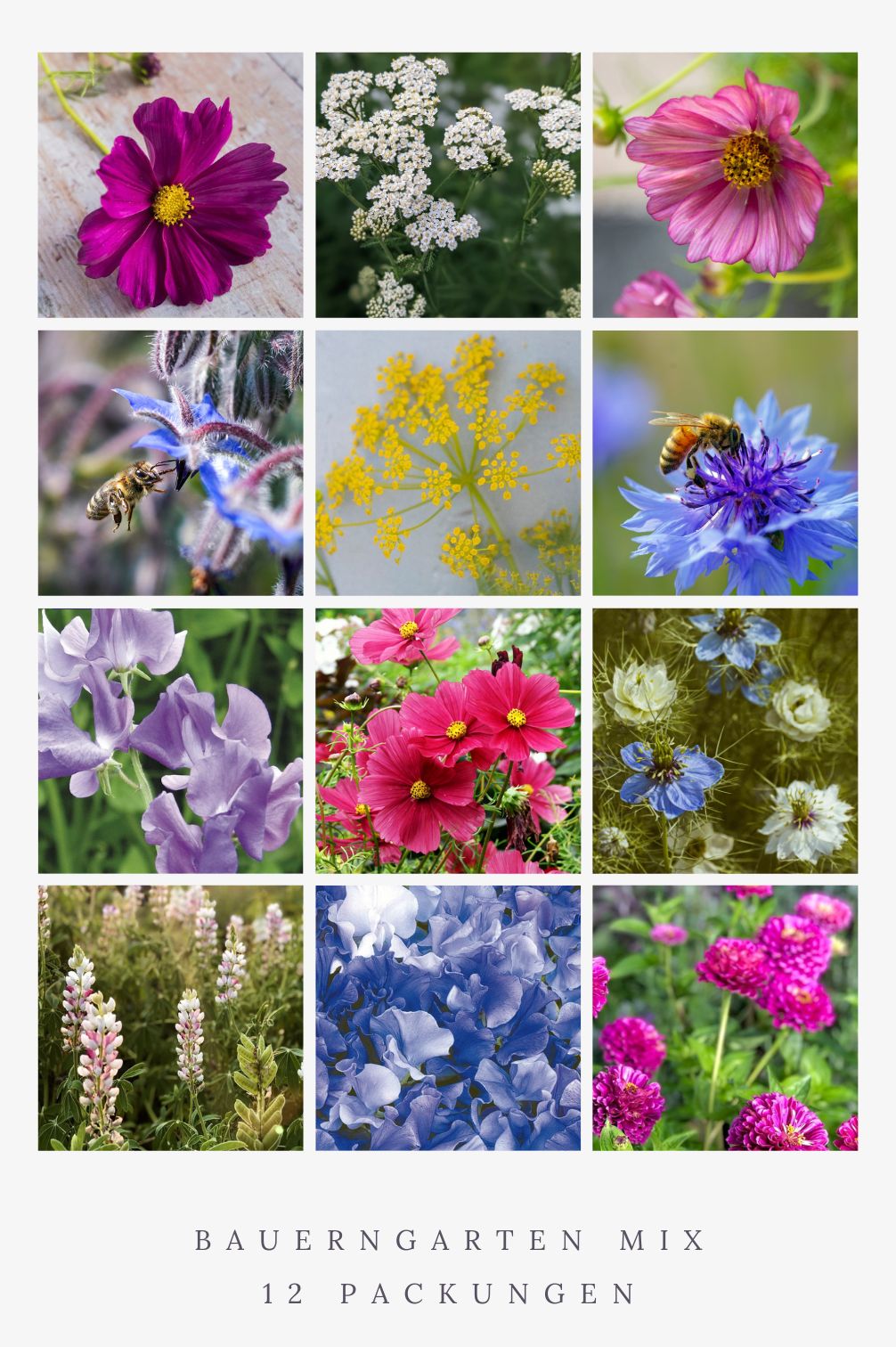 Bauerngarten Mix – 12 Packungen