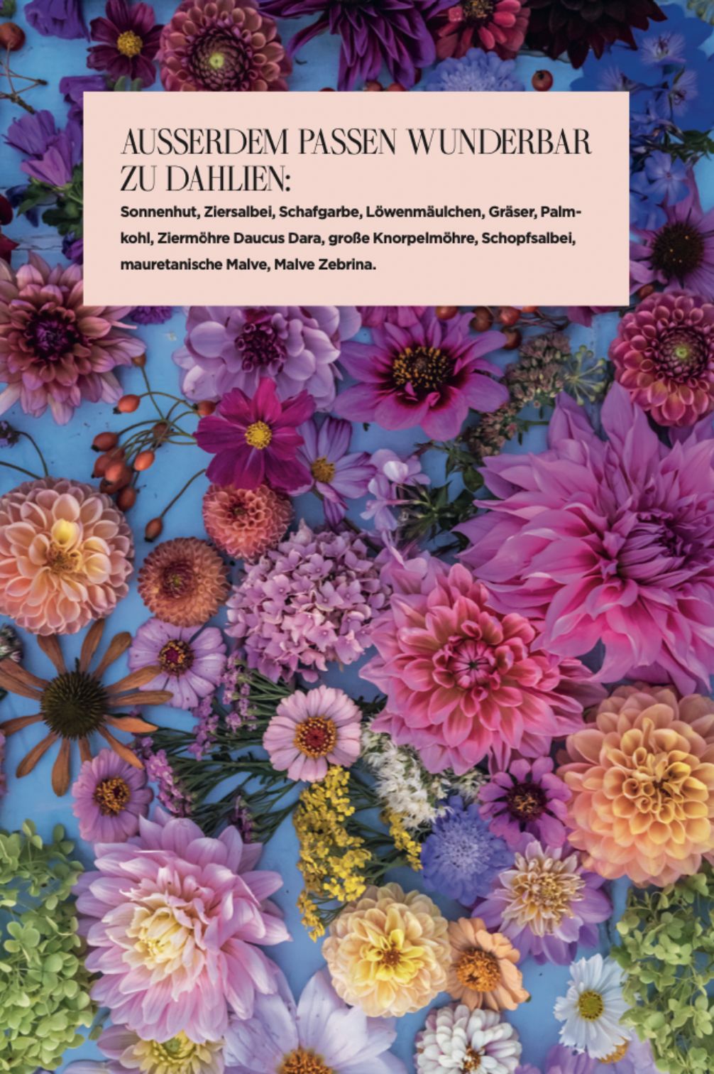 Ebook DAHLIENZAUBER