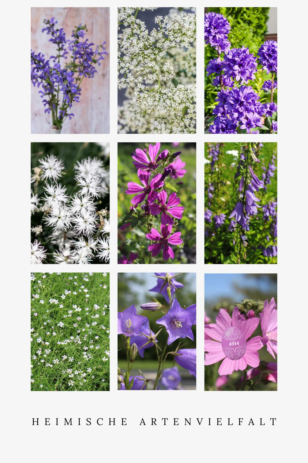 Heimische Wildblumen – 9 Packungen