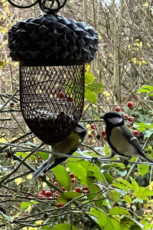 Futterstelle in der Eichel