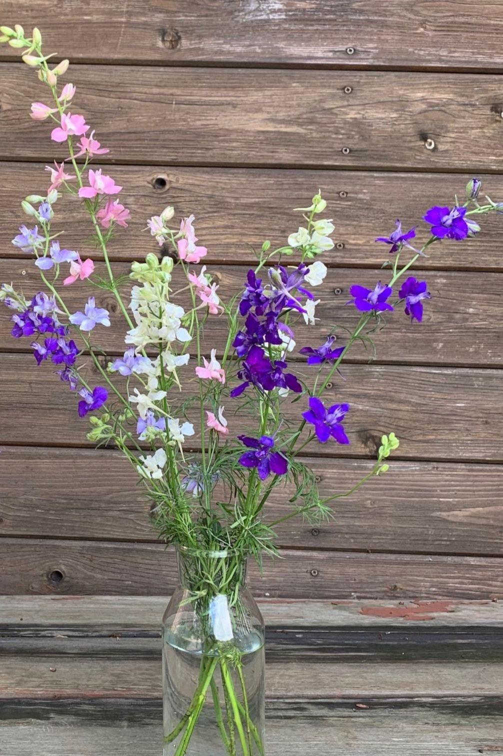 Garten Rittersporn Lila Rosa Blumen in Glasvase