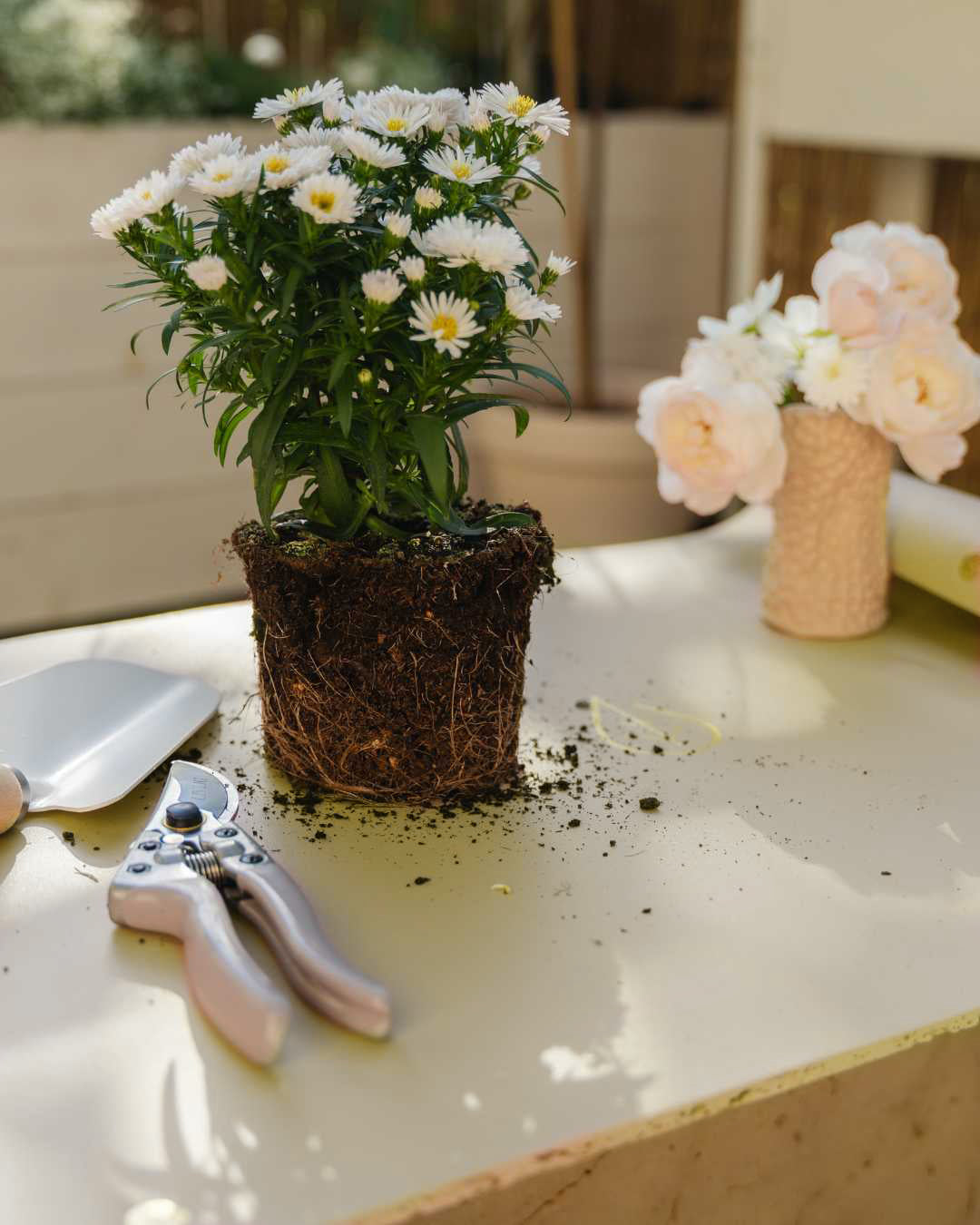 Pflanzmatte – Beige