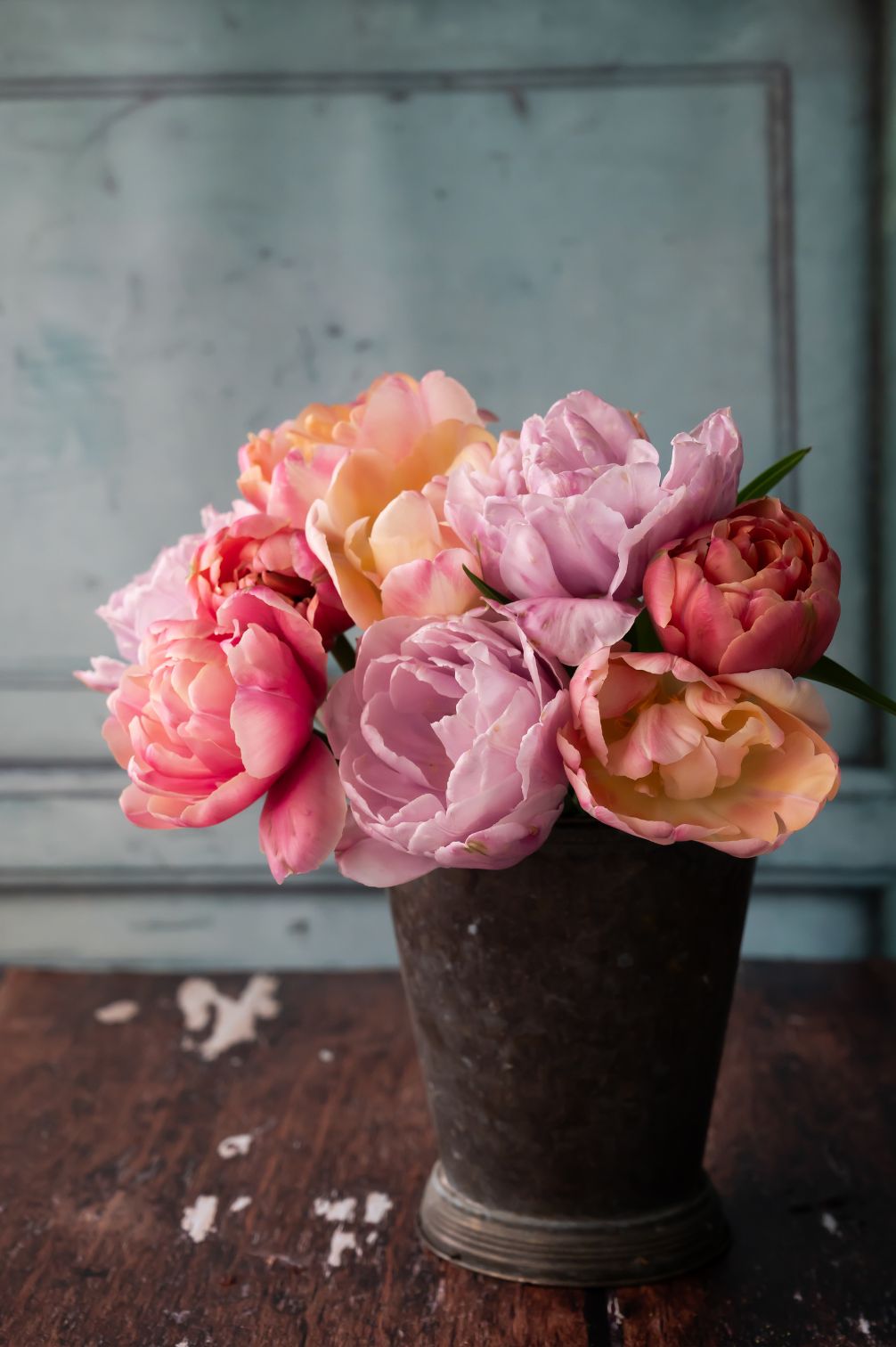 Tulpenmischung Spring Sorbet