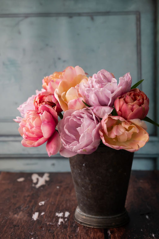 Tulpenmischung Spring Sorbet