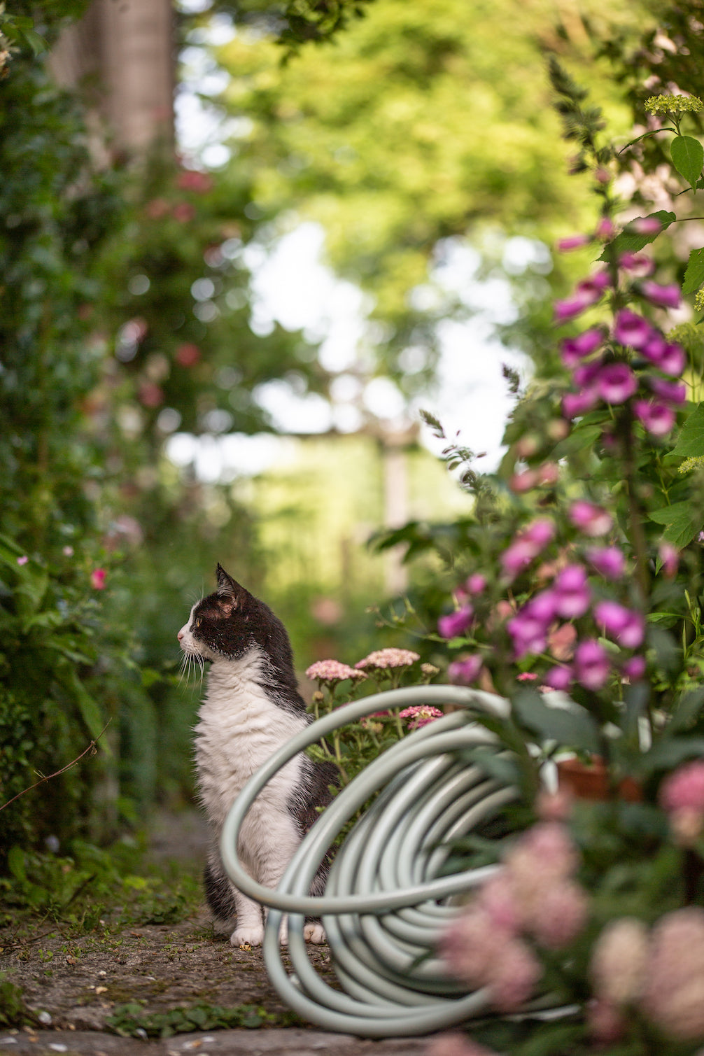 Stilvoller Gartenschlauch