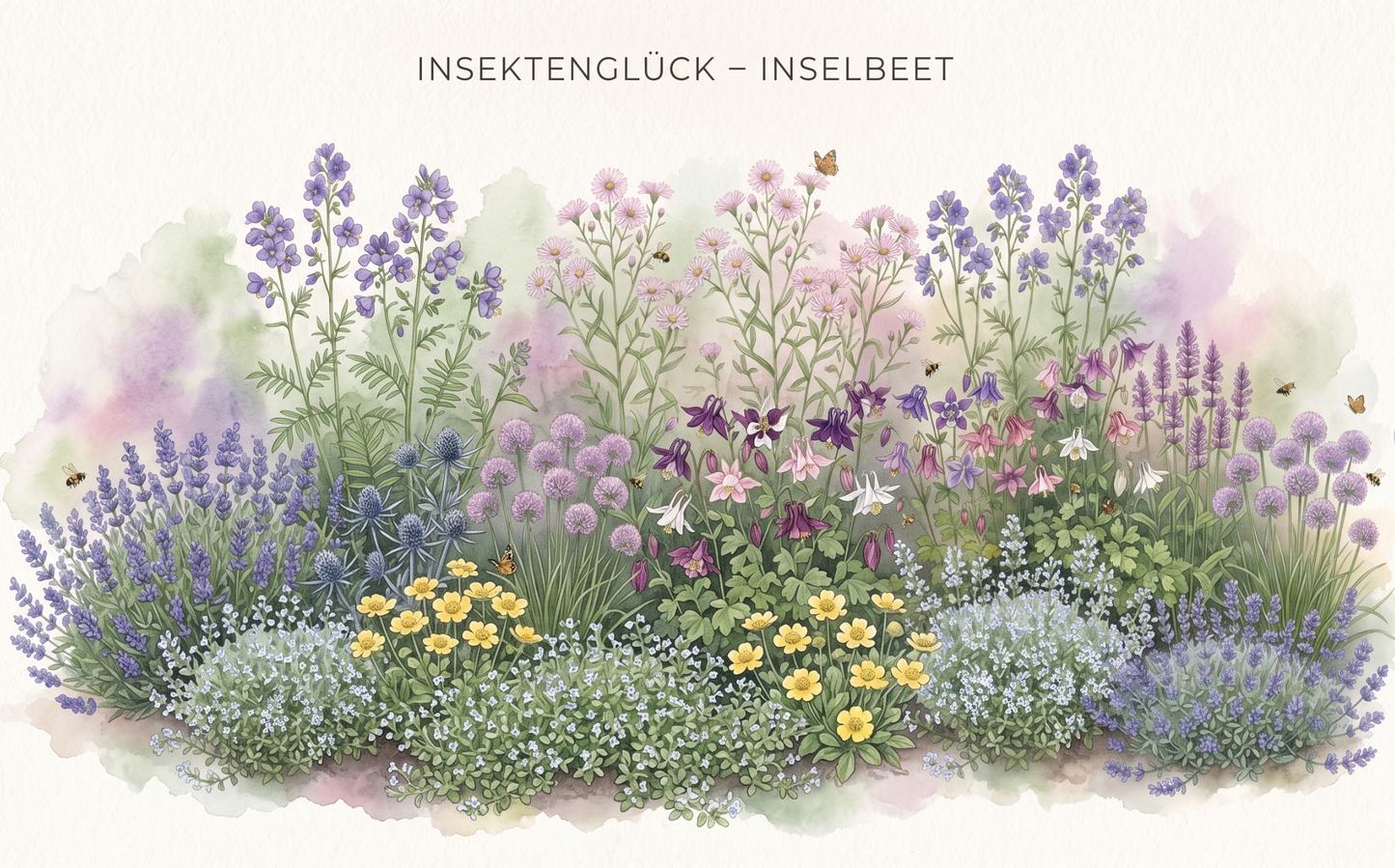Bio-Staudenpaket "Insektenglück" – 16 Pflanzen