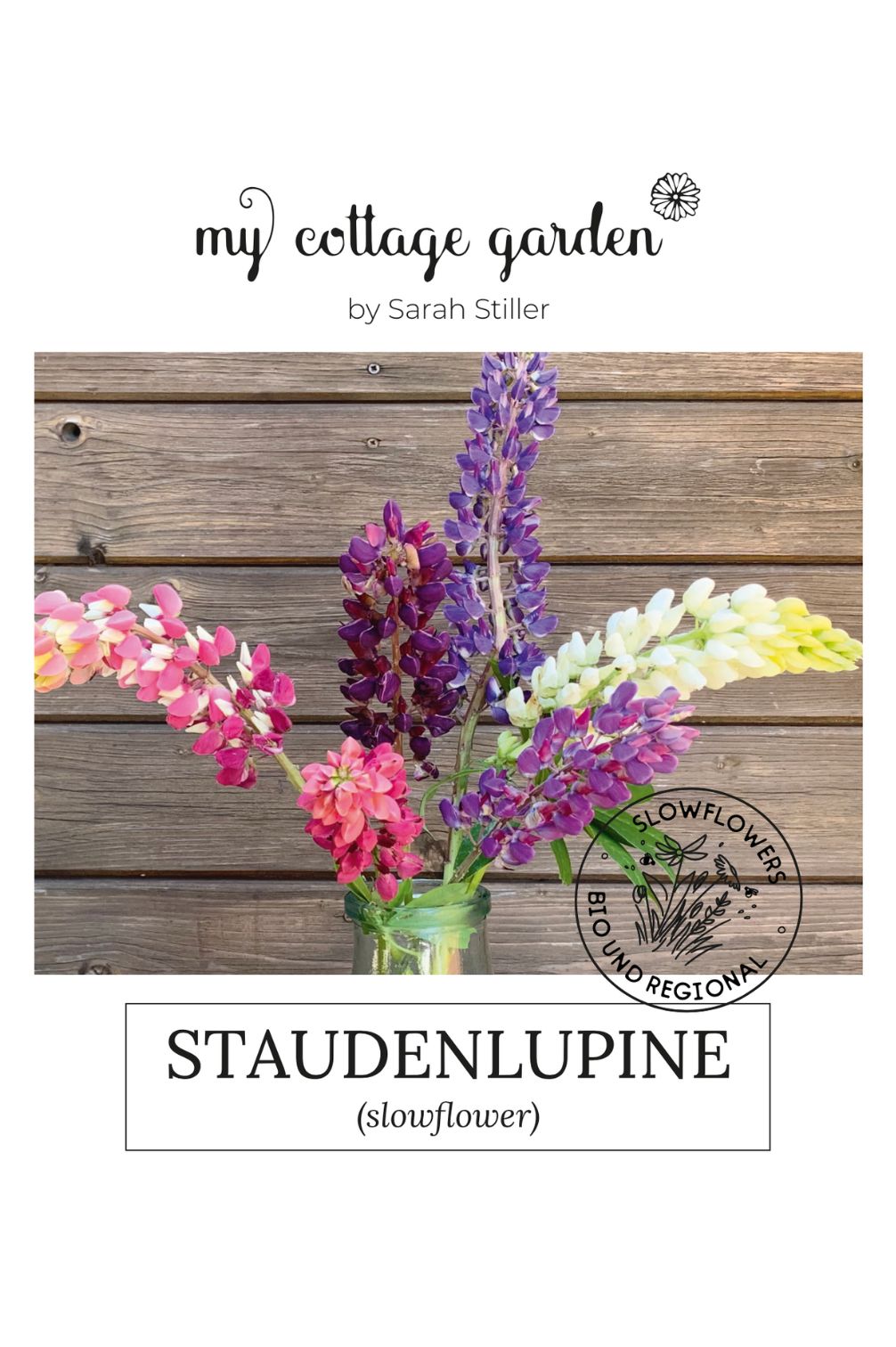 Staudenlupine – bio