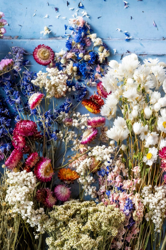 Bunte getrocknete Blumen auf blauem Hintergrund