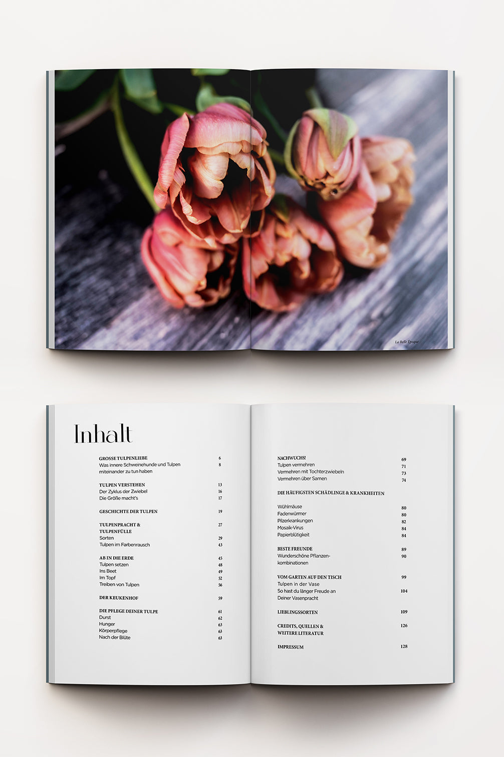Tulpenglück – Buch