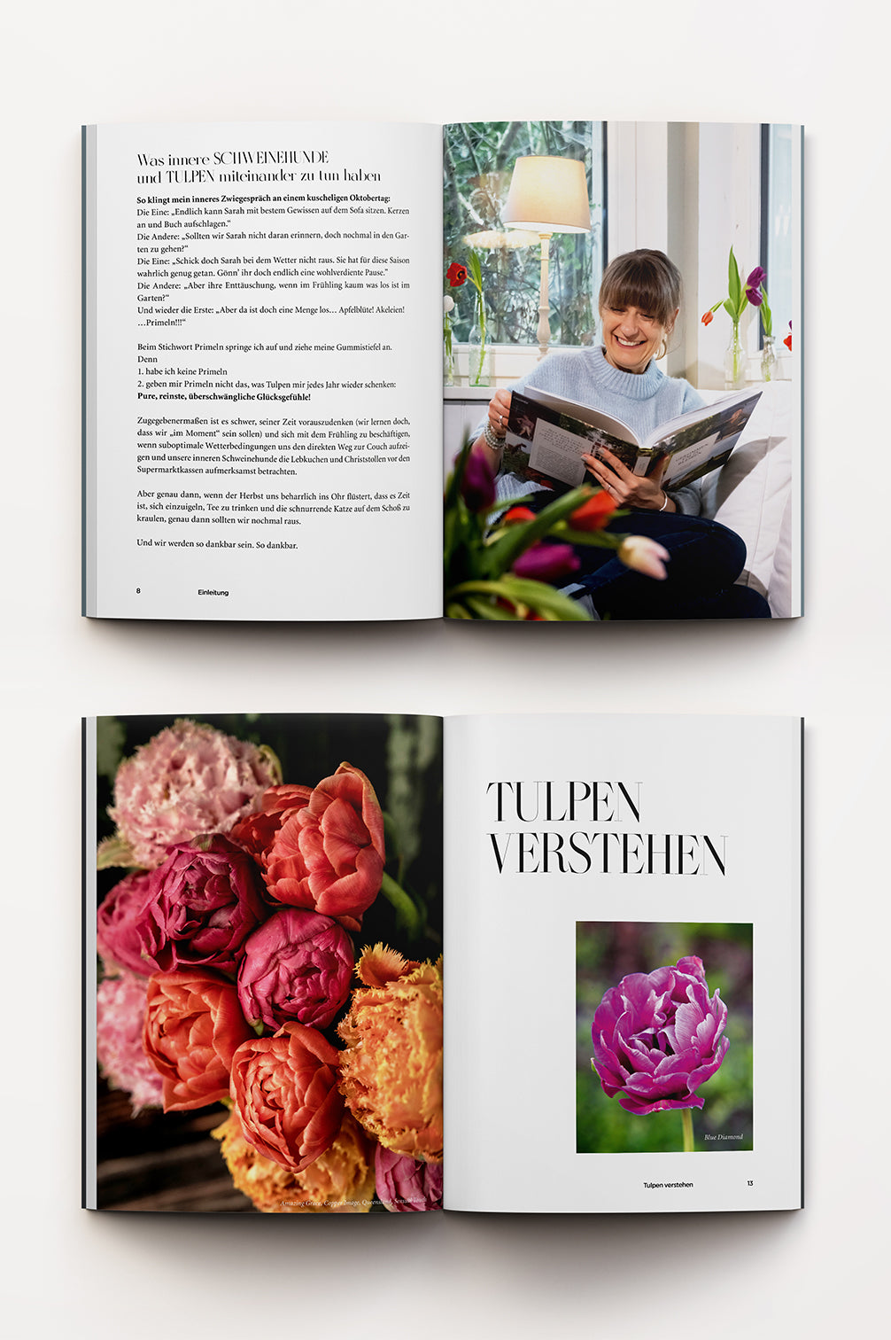 Tulpenglück – Buch