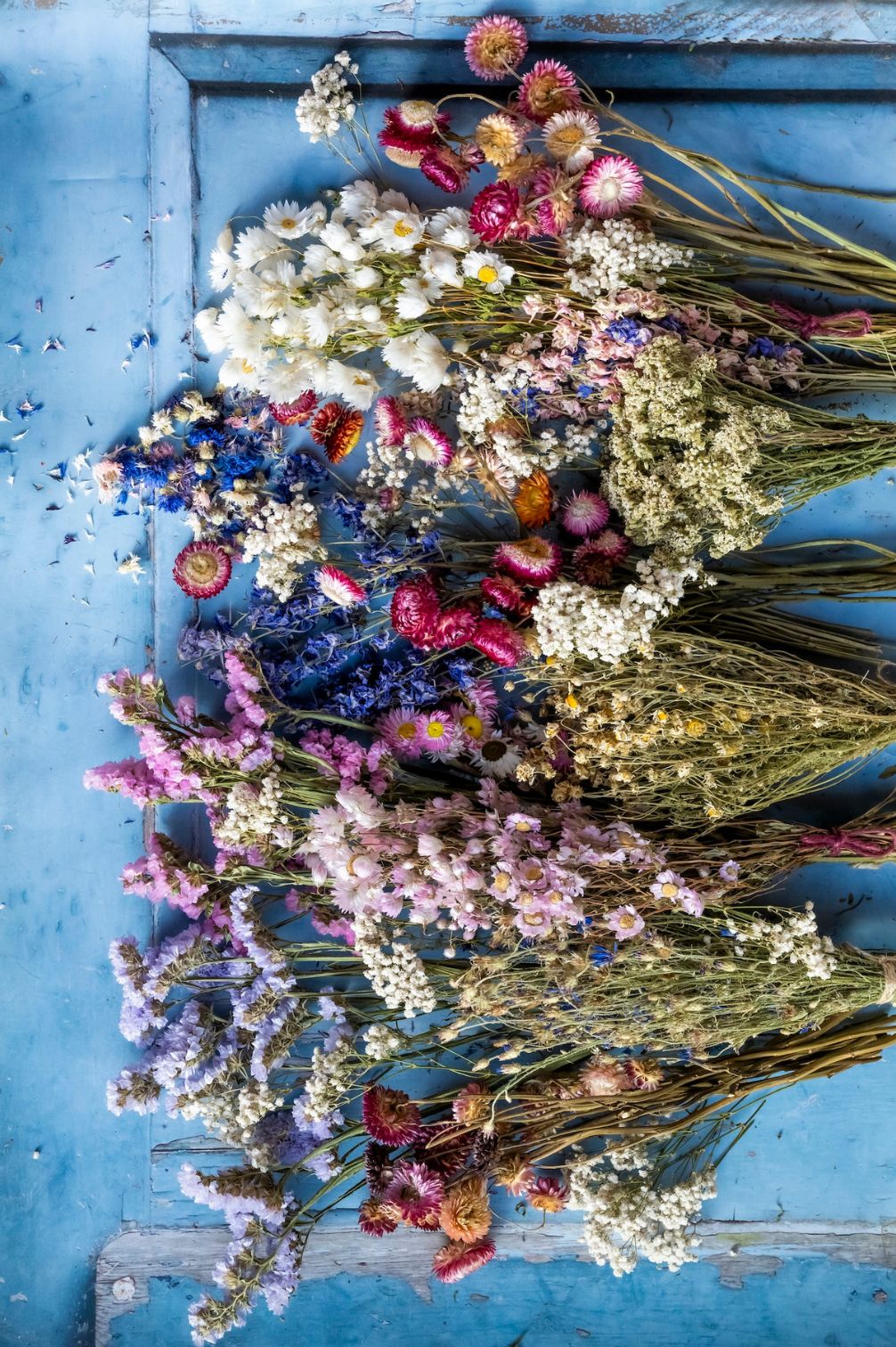 Viele bunte getrocknete Blumen auf blauem Hintergrund