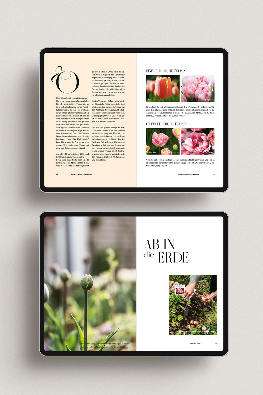 Tulpenglück – Ebook