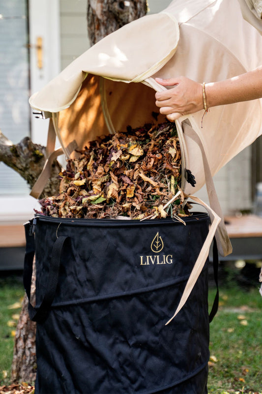 Zwei LIVLIG Pop-up Gartensäcke sind im Einsatz: aus dem beigen Laubsack wird eine große Menge trockener Blätter in den schwarzen 90-Liter Gartensack geschüttet. Beide faltbaren Säcke bestehen aus Oxford-Gewebe.