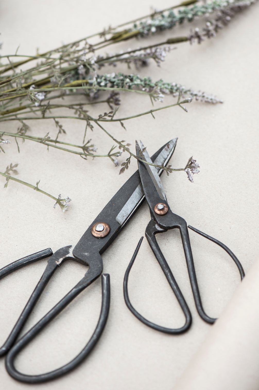 Zwei schwarze Metall-Gartenscheren in unterschiedlichen Groessen nebeneinander liegend.