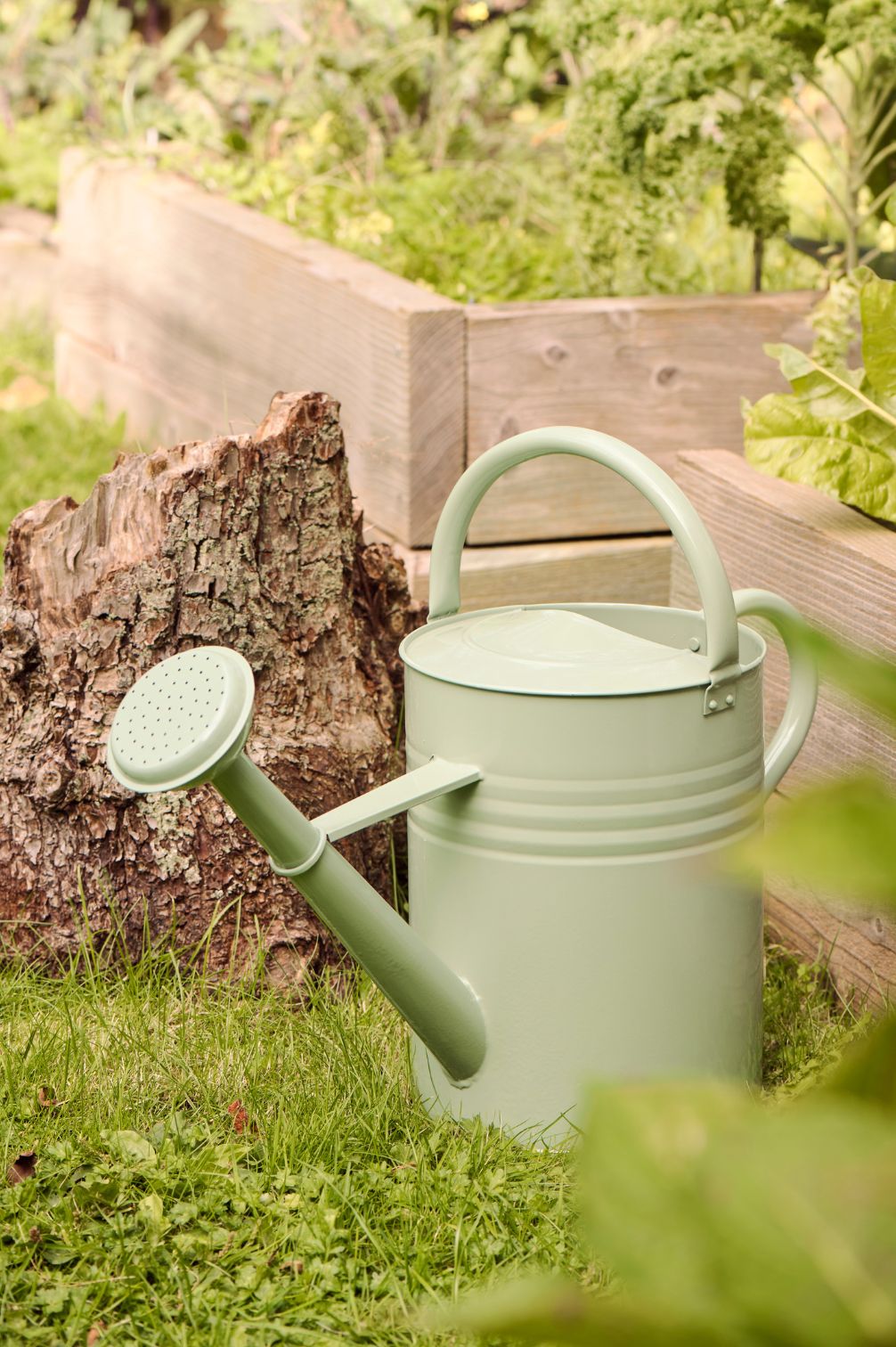 Pastellgrüne Giesskanne aus Metall im Gras vor Hochbeet und Baumstamm im naturnahen Garten.