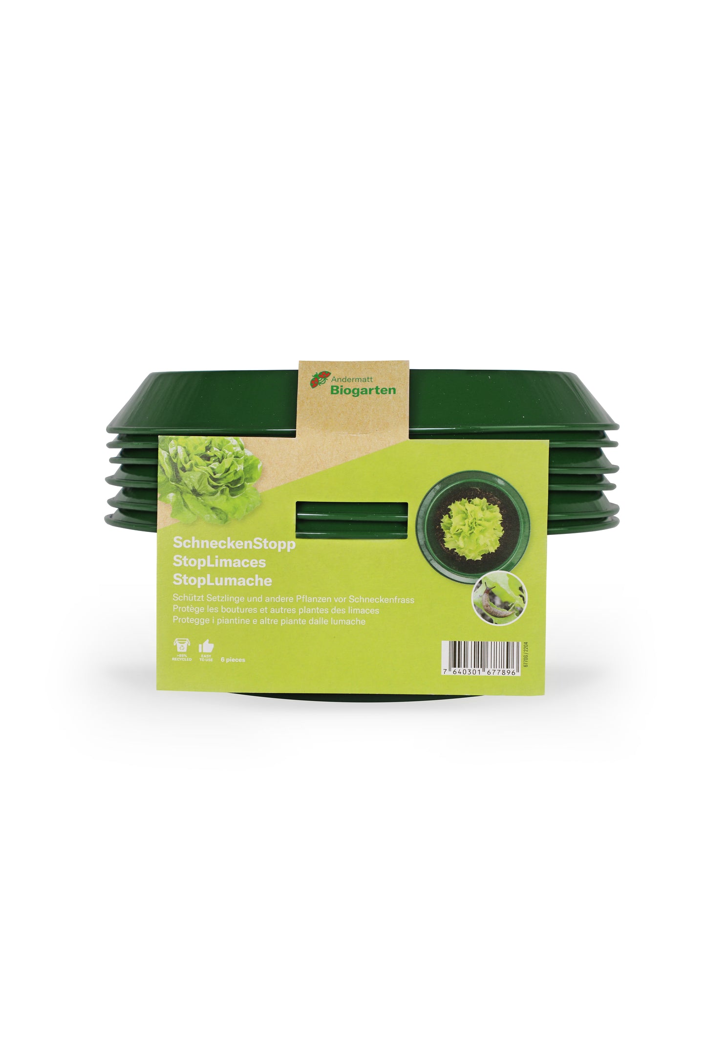 Schneckenkragen grün – klein (6er Pack)