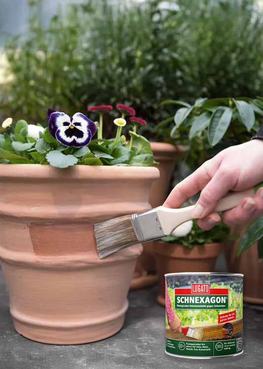 Schnexagon – Anti-Schnecken-Anstrich