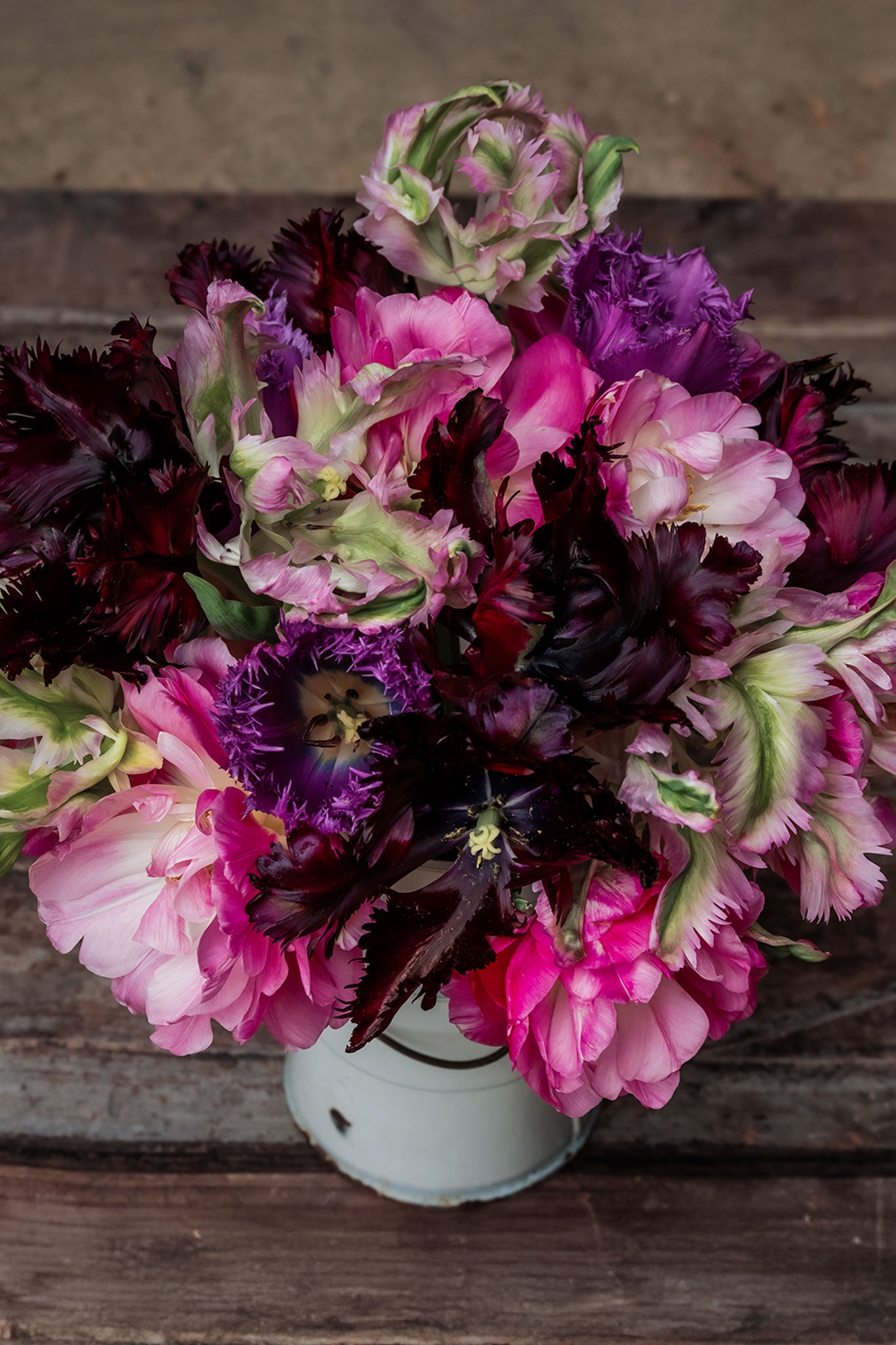 Tulpenmischung "Shades of Pink" – 50 Zwiebeln
