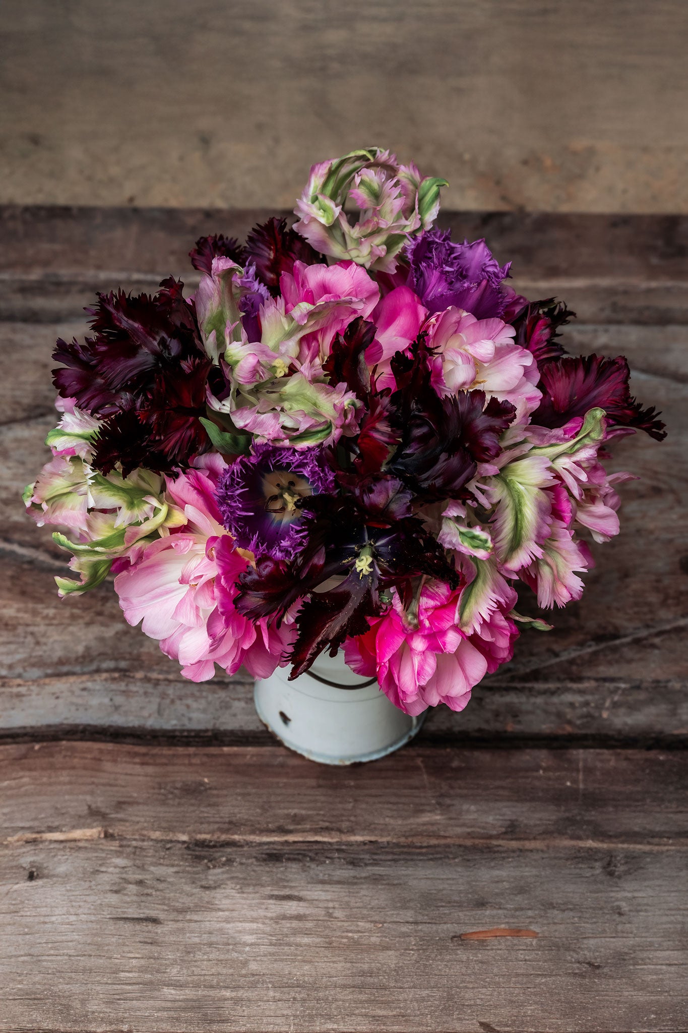 Tulpenmischung "Shades of Pink" – 50 Zwiebeln