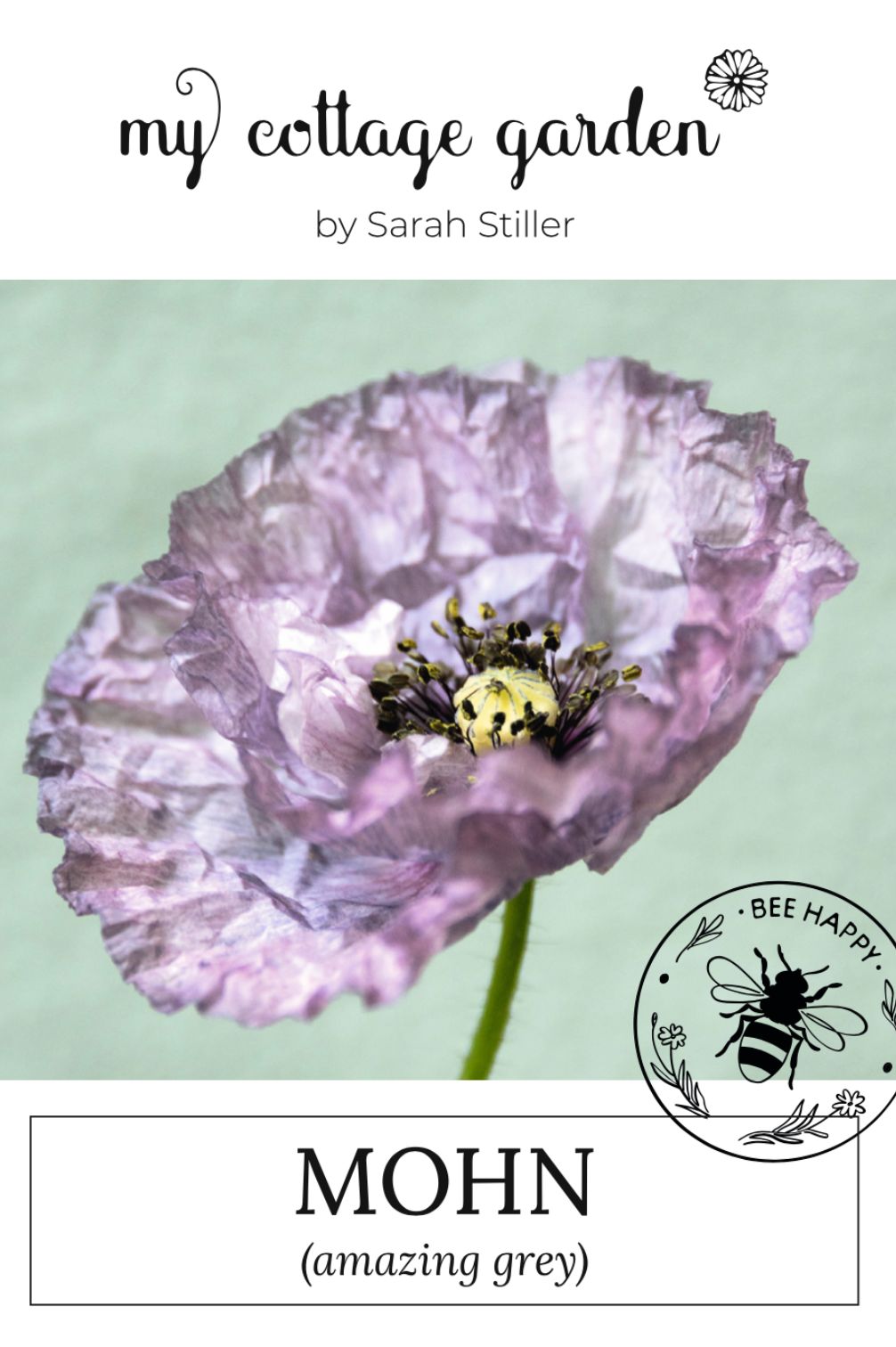Mohn "Amazing Grey"