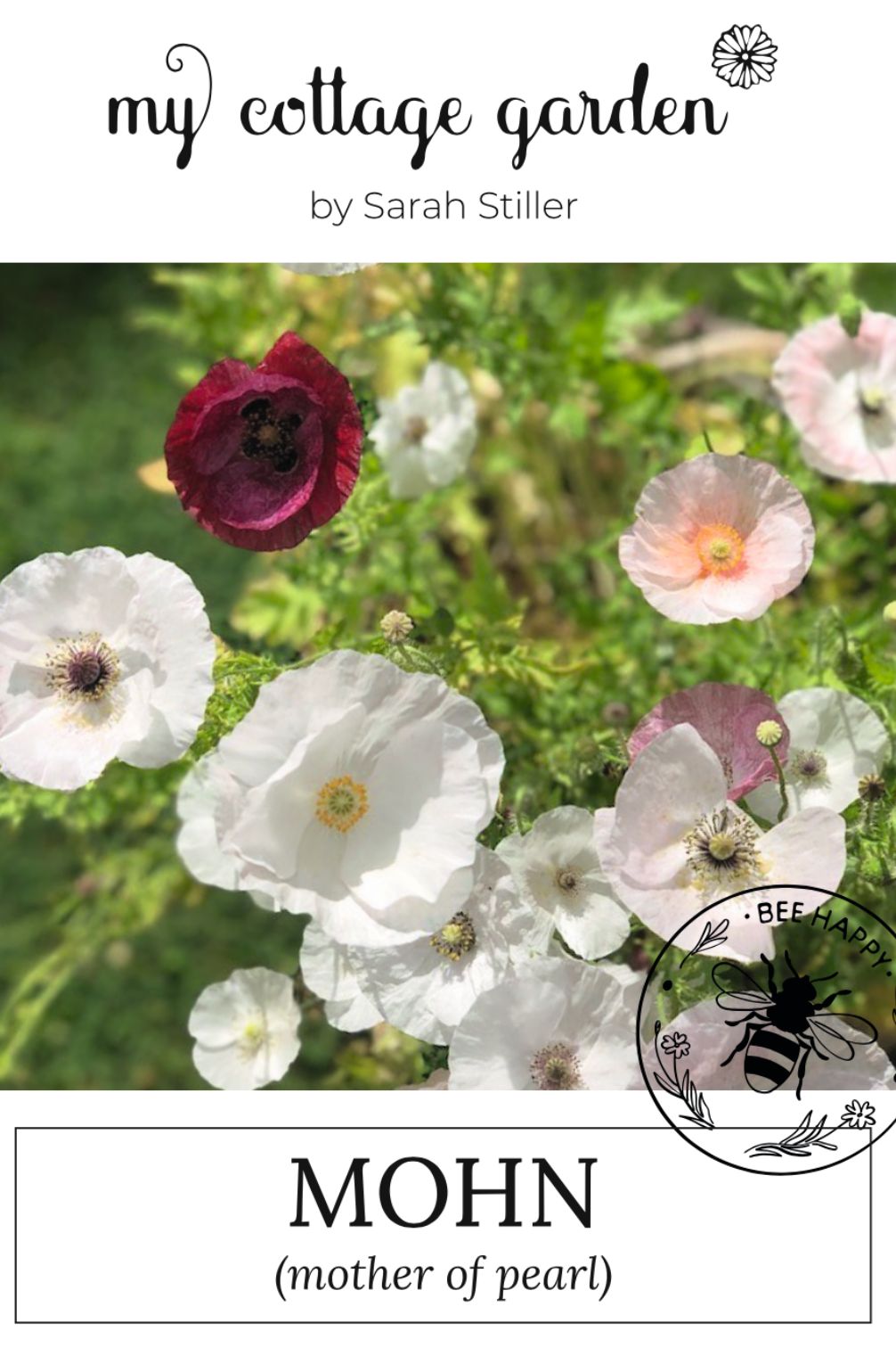 Mohn “Mother of Pearl”