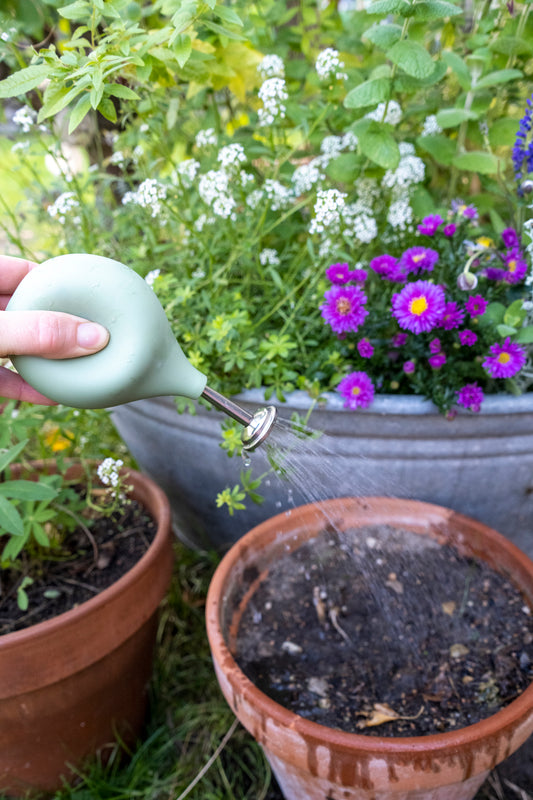 Ballbrause – groß & klein