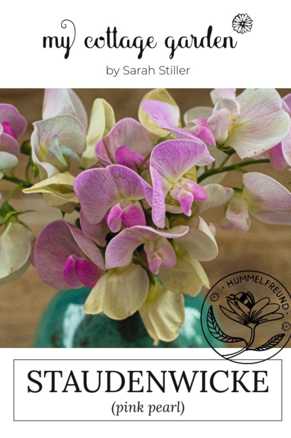 Staudenwicke Pink Pearl