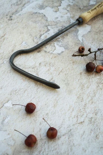 Sauzahn (Bodenlüfter) mit Eschengriff