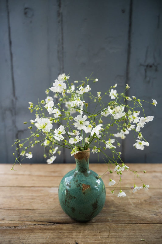 Ein Strauss Schleierkraut in gruener Vase