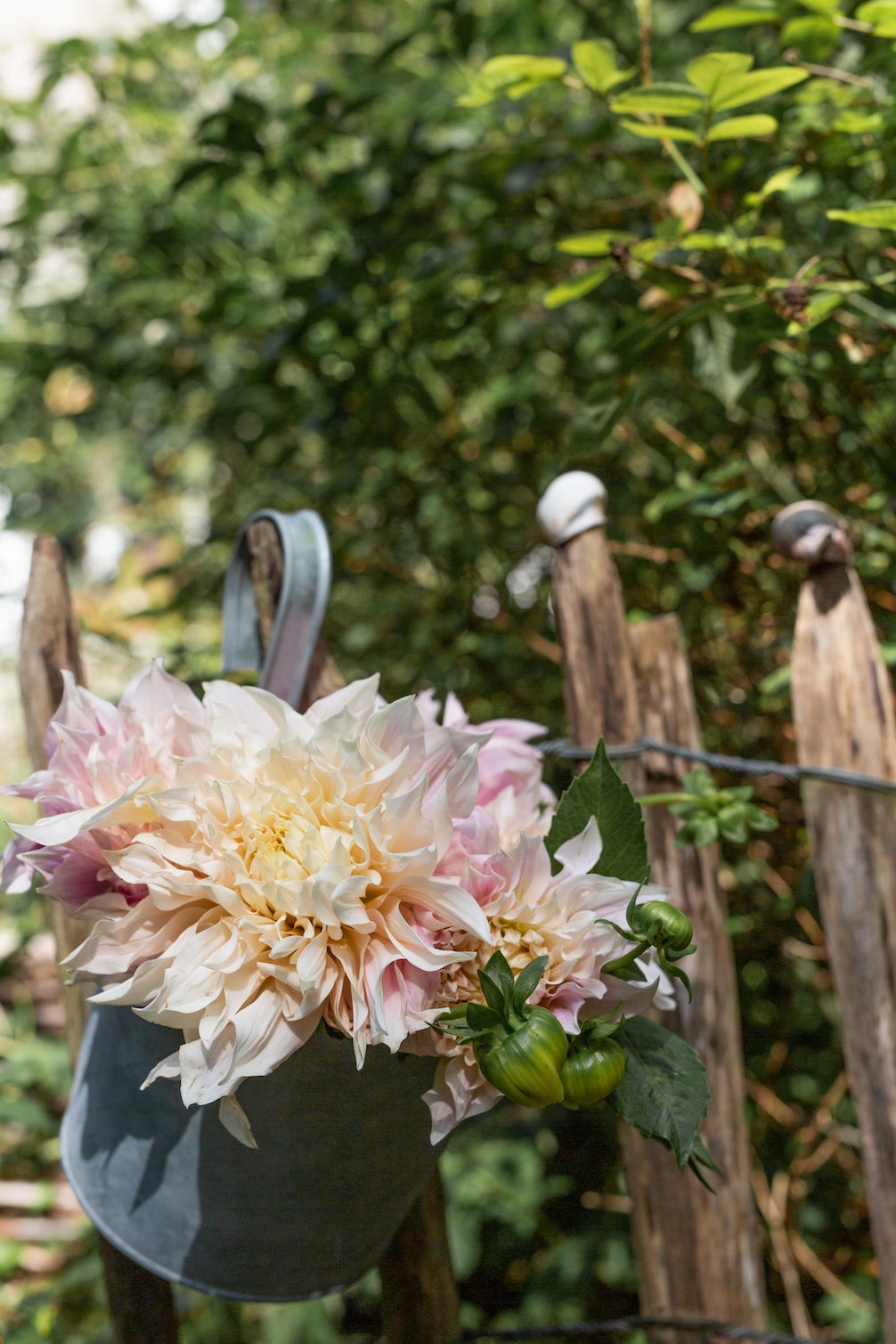 Altzink Blumentopf mit Haken