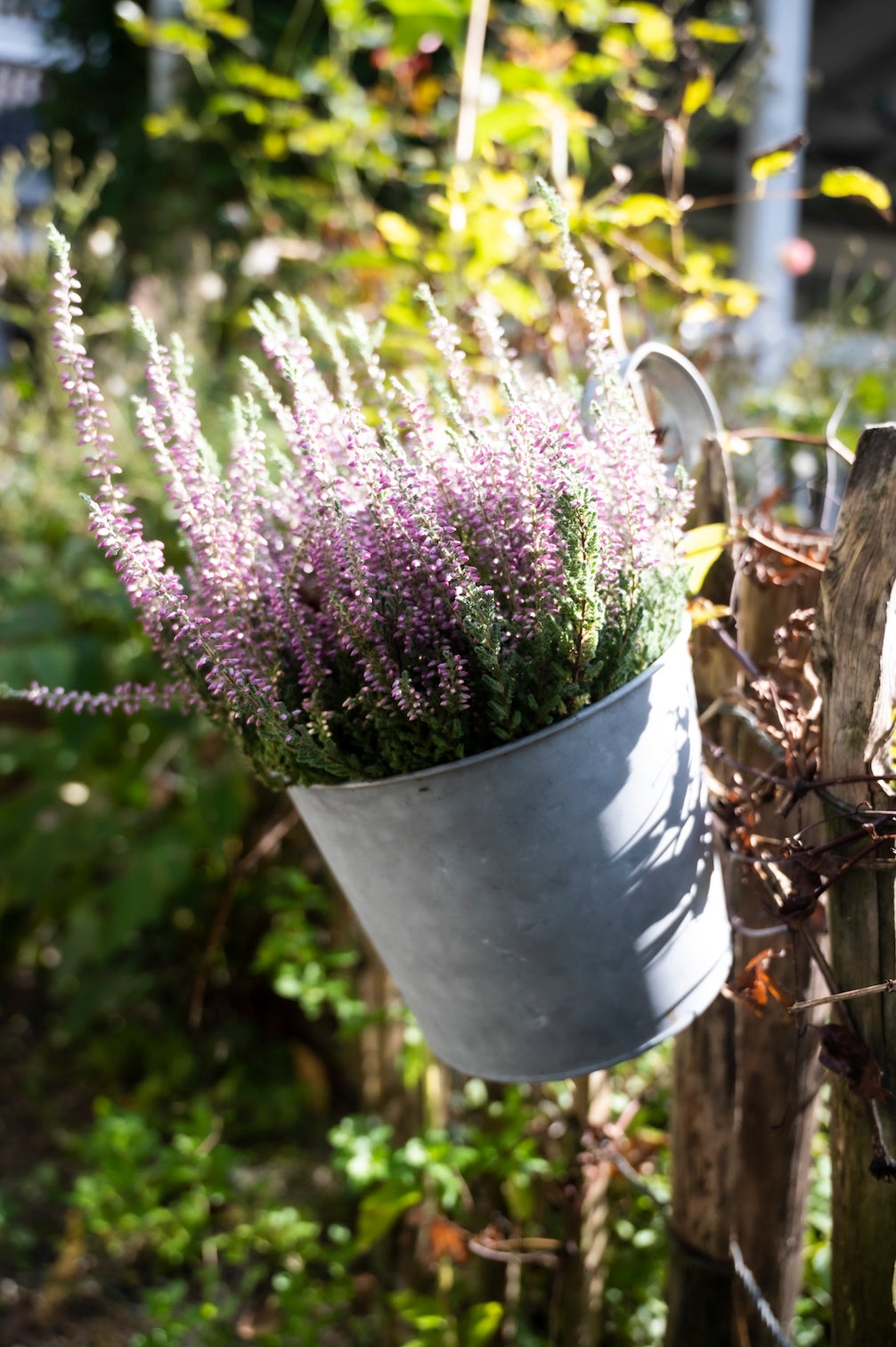Altzink Blumentopf mit Haken