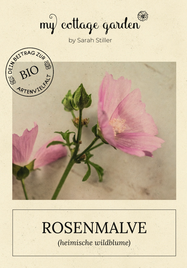 Rosenmalve