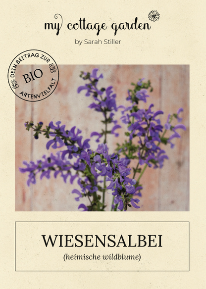 Wiesensalbei