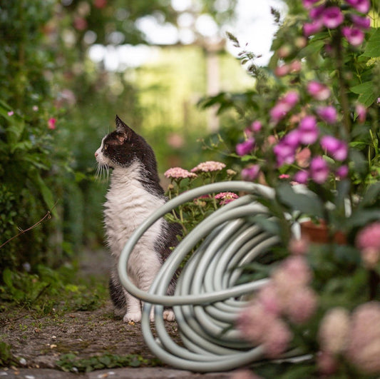 RICHTIG GIESSEN – Ein trockenes Thema?