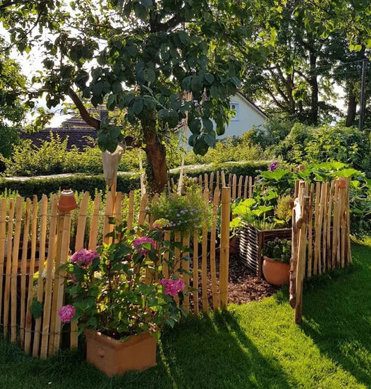 Ein Bauerngarten in der Sonne