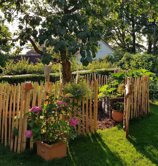 Ein Bauerngarten in der Sonne