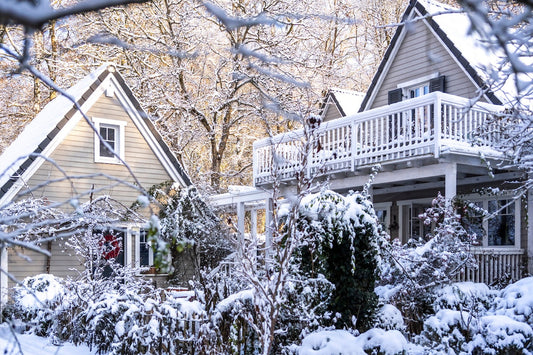 My Cottage Garden im Winter im Schnee.