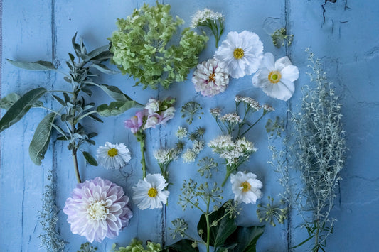 Dahlien und passende Begleitpflanzen in einer harmonischen Zusammenstellung.