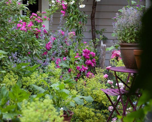 DER JUNI IM COTTAGE GARTEN – EIN VIDEO-RUNDGANG