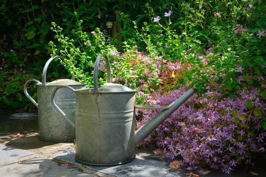 Schwarz-weiße Katze im romantischen Bauerngarten neben einem ästhetisch aufgerollten, hellgrünen Gartenschlauch – hochwertige Bewässerung mit Stil