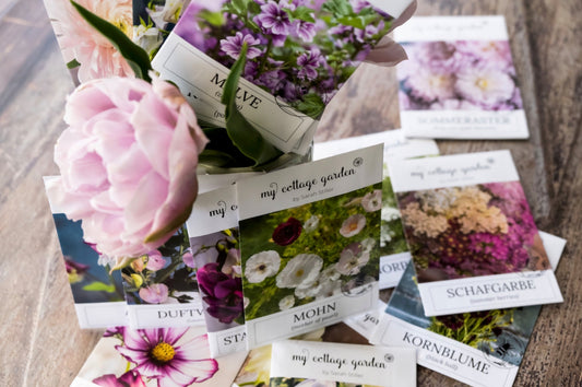 Samenpäckchen verschiedener Sommerblumen für Aussaat und Vorziehen im Garten.