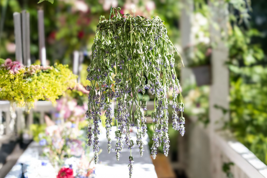 DIE SCHÖNSTE DIY-BLUMENDEKO FÜR SOMMERABENDE IM GARTEN