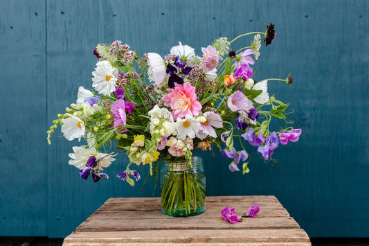 Woman in armchair in garden