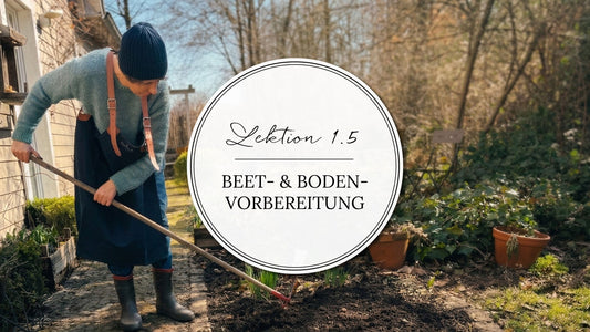 Thumbnail mit einer runtergefressenen, schleimigen Dahlien, die von einem Nacktschnecken-Rudel attackiert wurde