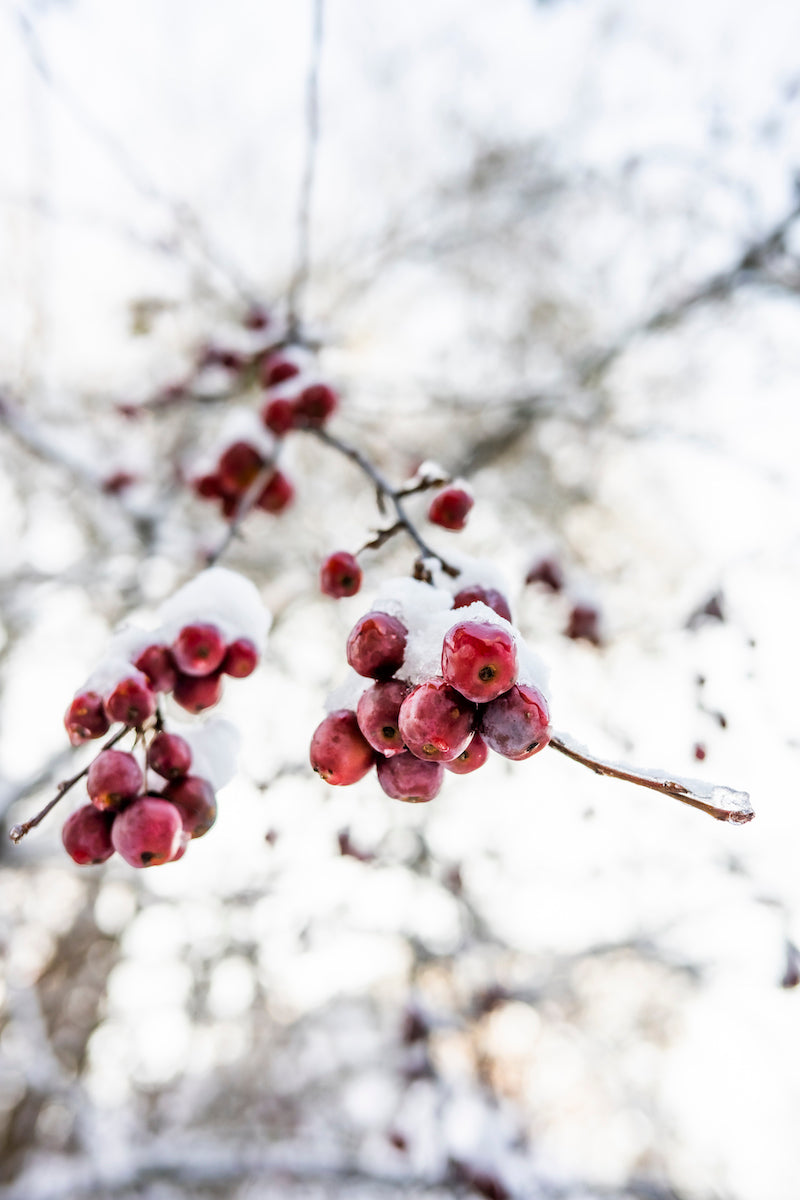 Herbst und Winter