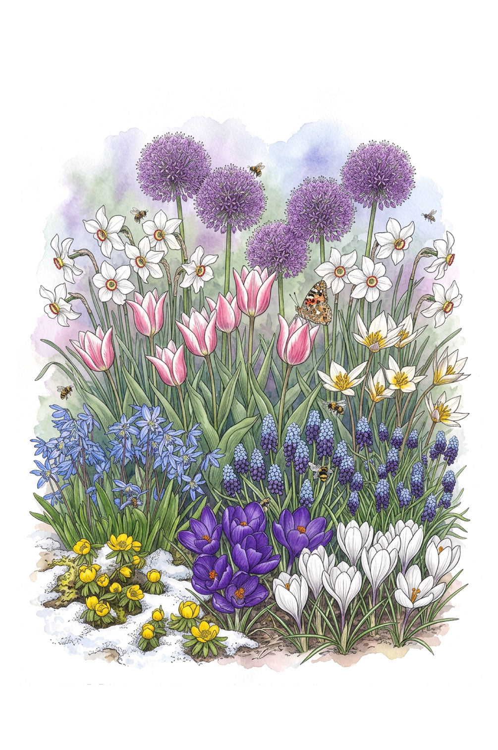 Futterglück für Biene & Co. | 150 Tage Blüten