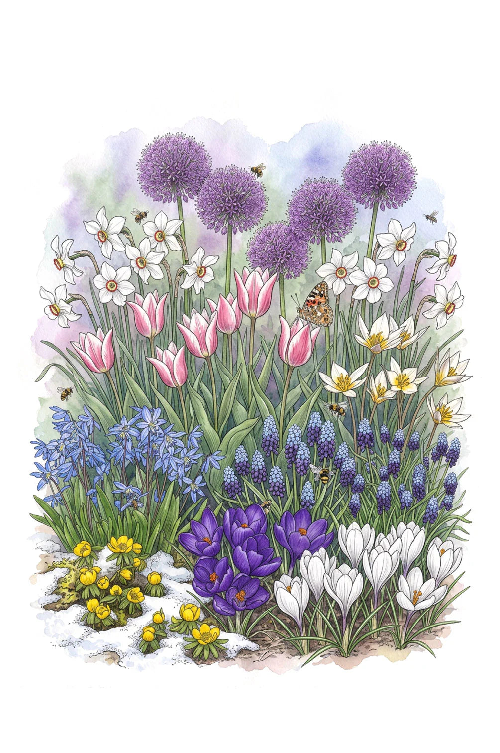 Futterglück für Biene & Co. | 150 Tage Blüten