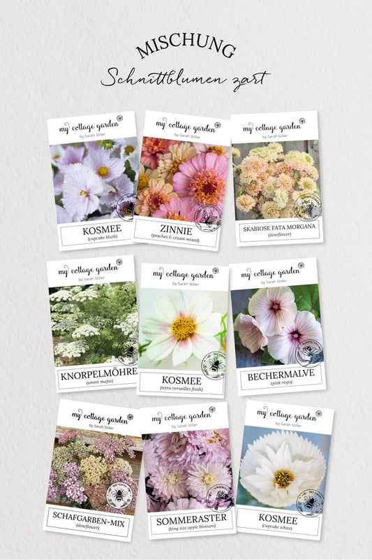 Schnittblumen zart – 9 Packungen