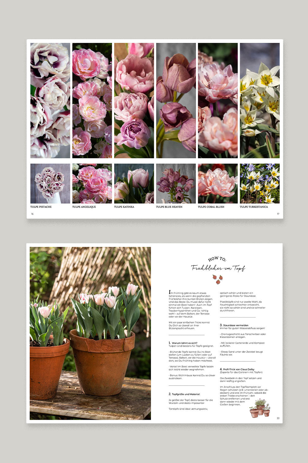 Happy Buddeln – Alles über Blumenzwiebeln (E-Magazin) + Gutschein!